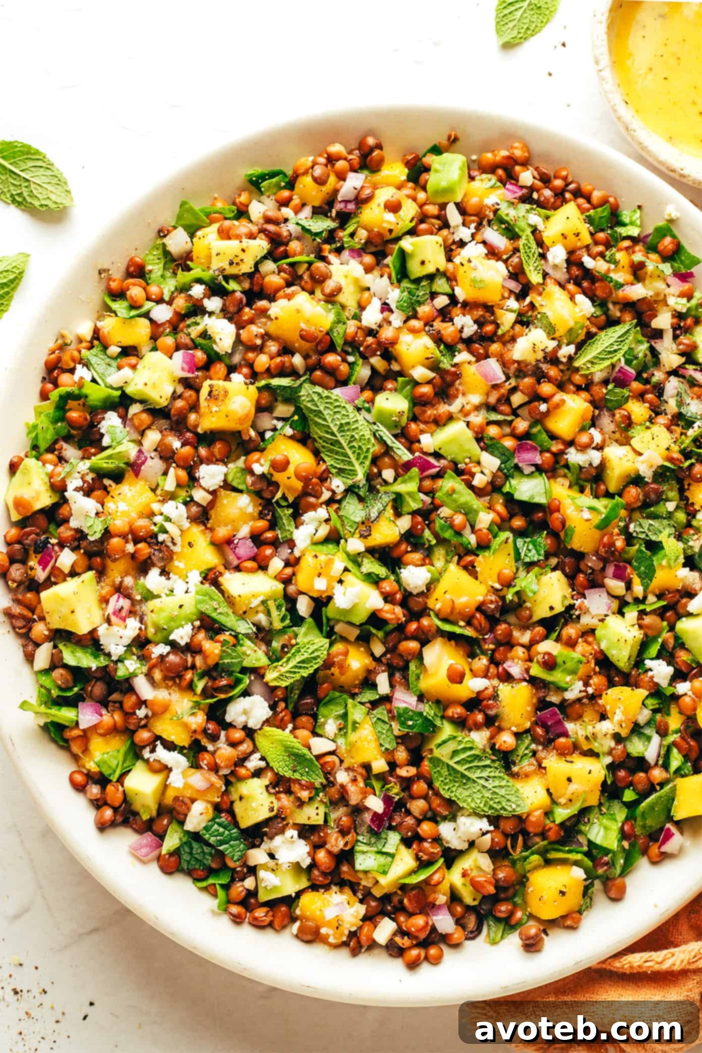 A beautifully plated mango lentil salad, showcasing vibrant colors and fresh ingredients.