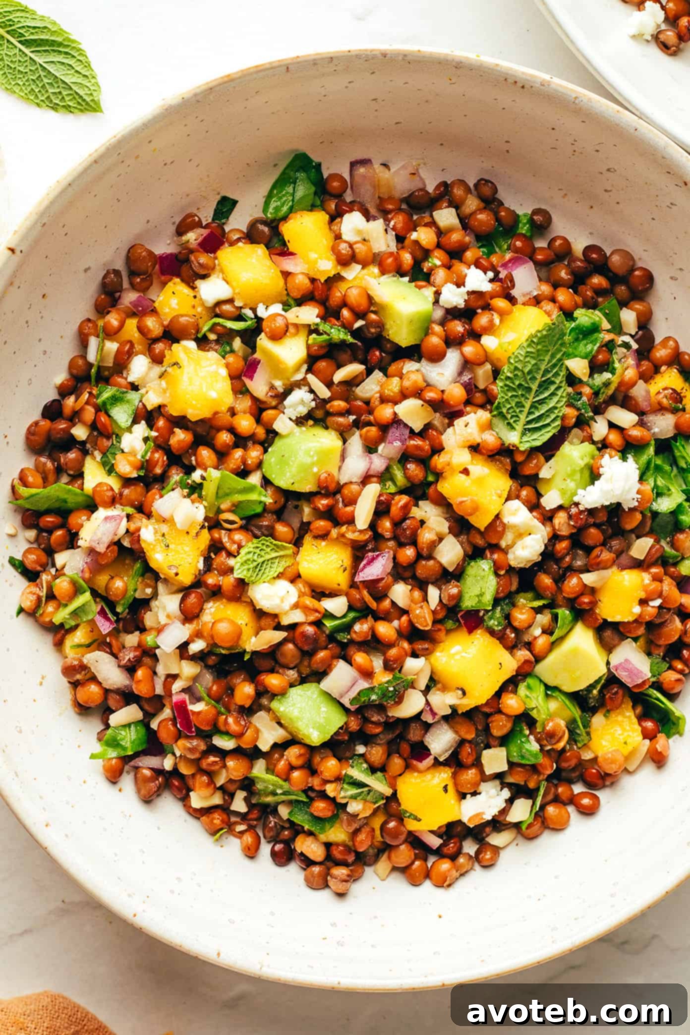 A beautifully presented mango lentil salad, ready to be served.