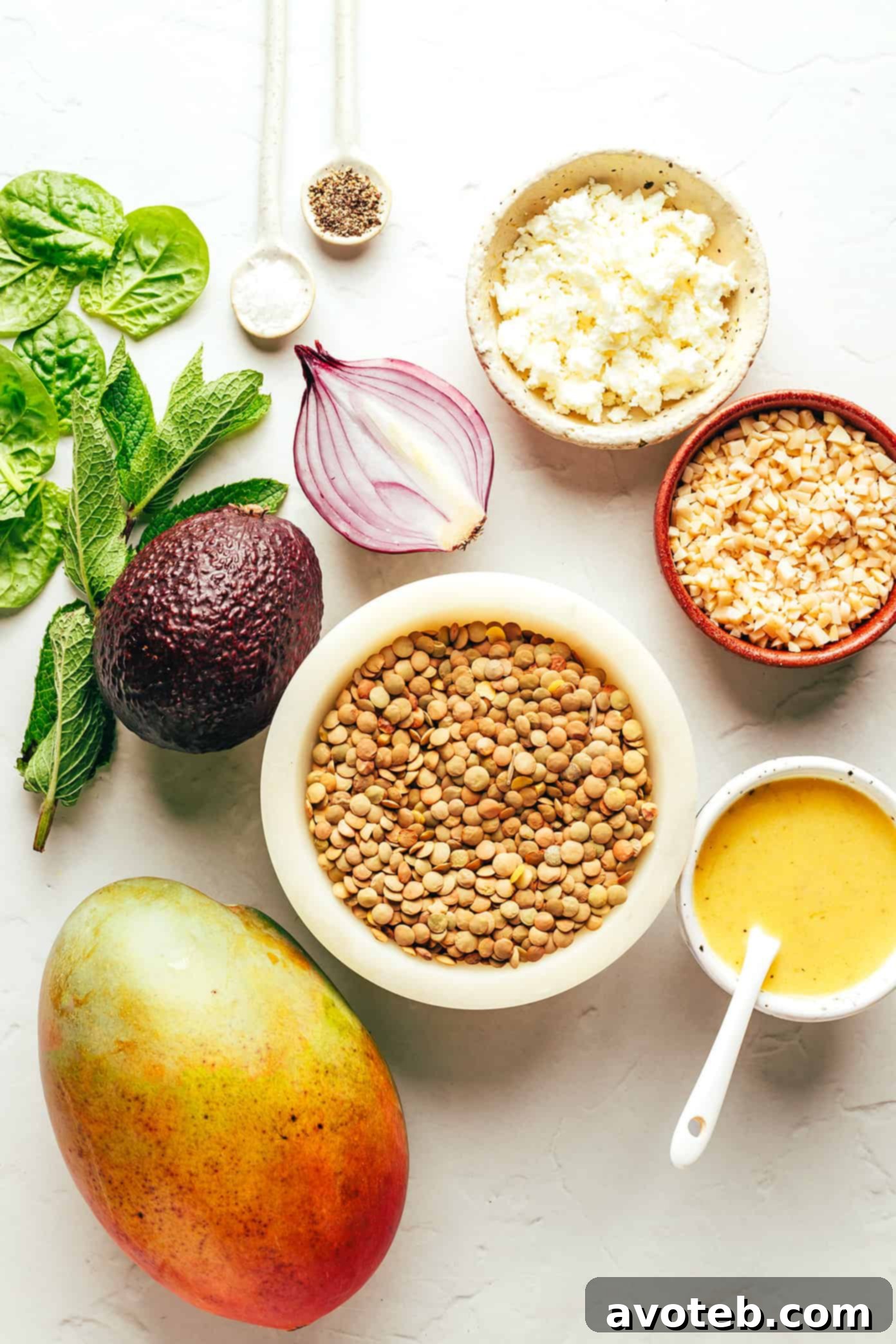 A close-up shot of the mango lentil salad, emphasizing the fresh, diced ingredients like mango, avocado, and mint.