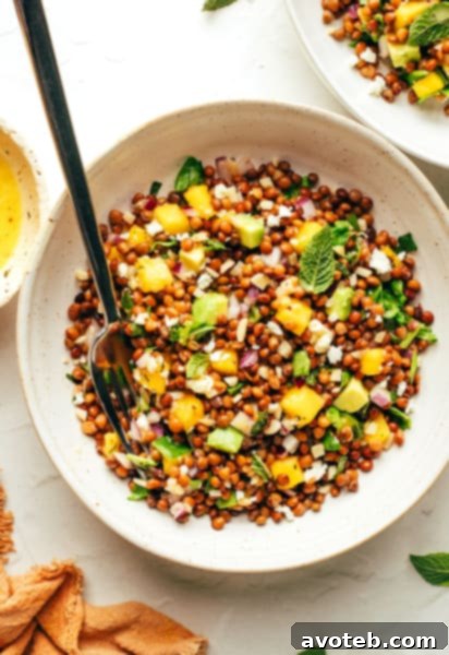 A final full shot of the delightful mango lentil salad, emphasizing its fresh ingredients and inviting appeal.