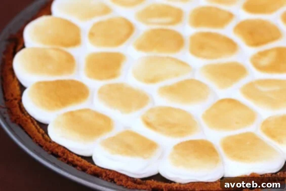 S'mores Pie: A tempting dessert with chocolate, marshmallows, and graham cracker crust