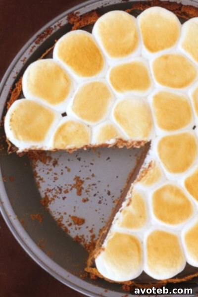 Perfectly toasted S'mores Pie, ready to be served