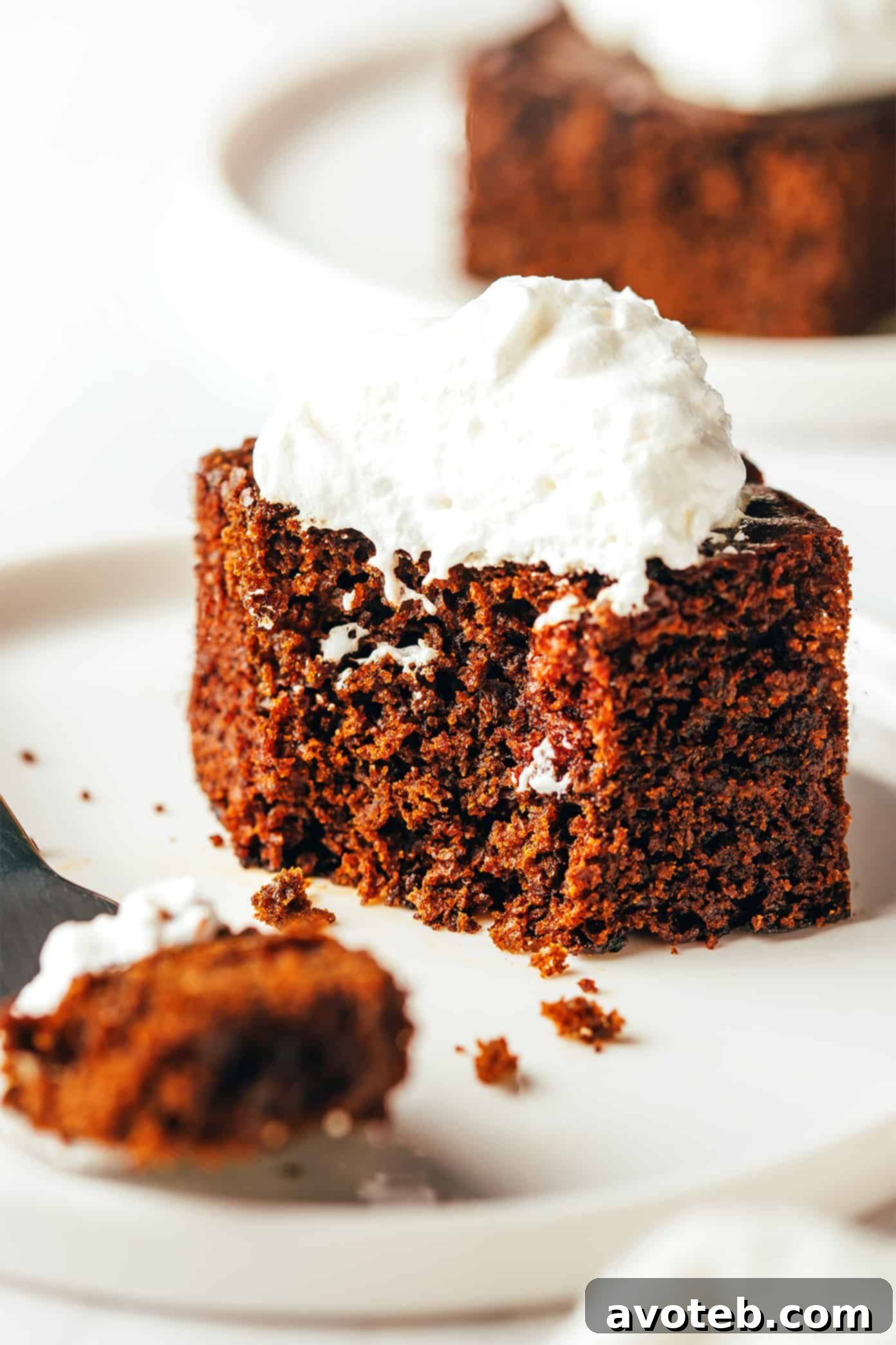 A slice of gingerbread cake served on a plate, adorned with a dollop of whipped cream and a sprinkle of cinnamon, ready to be savored.