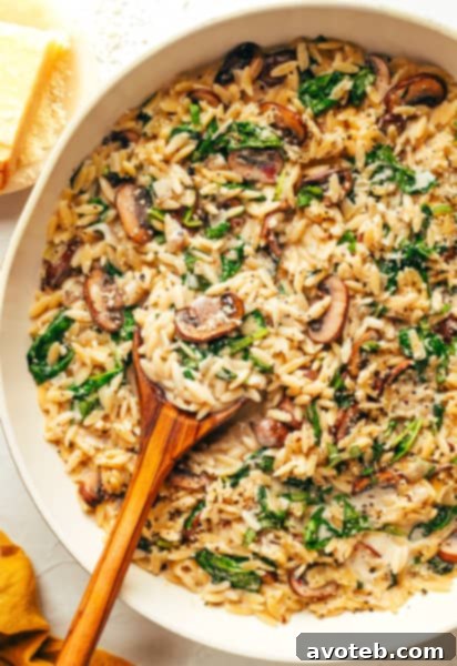 Creamy Garlic Mushroom Orzo
