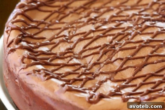 A close-up of a slice of Nutella Cheesecake, showcasing its rich, creamy texture, chocolate crust, and a glossy Nutella ganache topping.