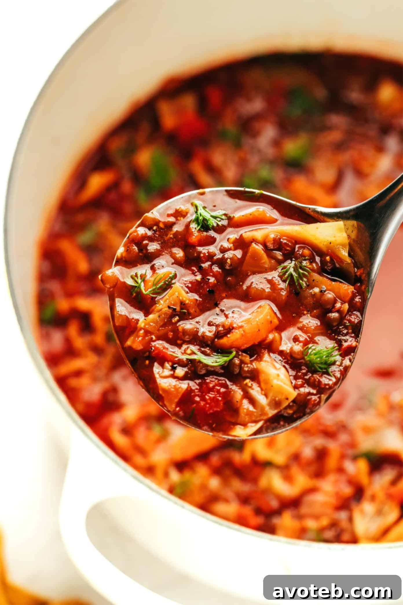 A vibrant bowl of Vegetarian Cabbage Roll Soup, garnished with fresh dill, ready to be enjoyed.