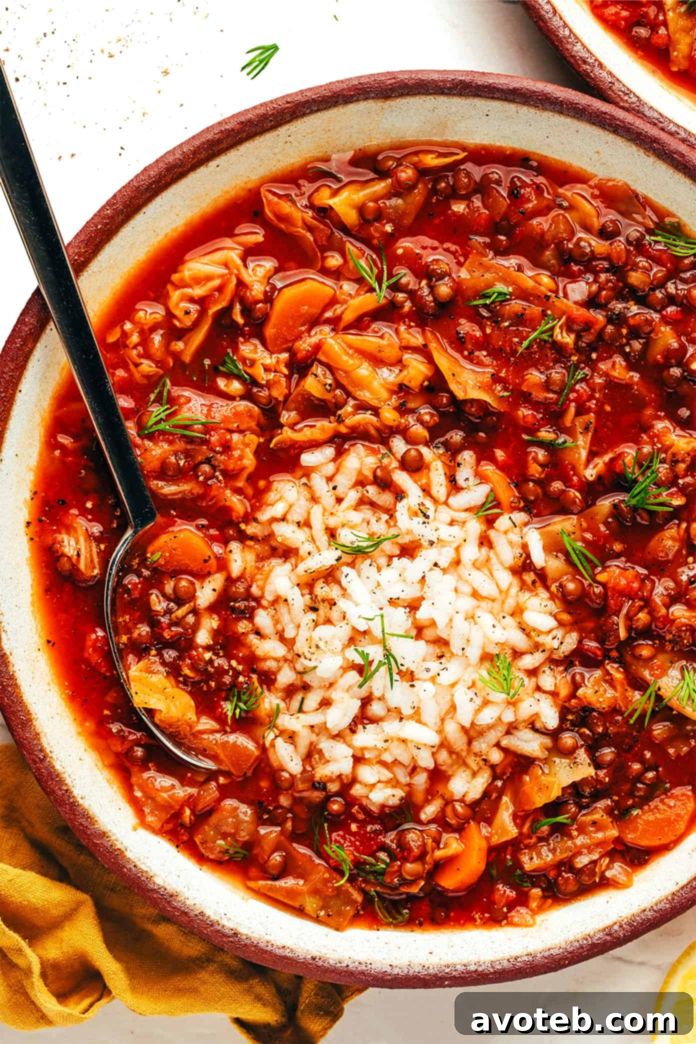 A full view of the Vegetarian Cabbage Roll Soup in a rustic serving bowl, adorned with fresh herbs, ready for the table.