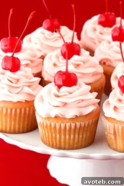 A beautifully decorated Cherry Vanilla Cupcake with a piped frosting swirl and cherry garnish