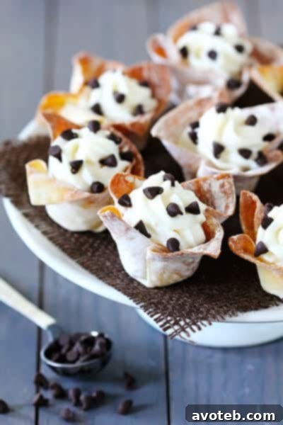 Multiple Cannoli Cups arranged beautifully on a serving plate.
