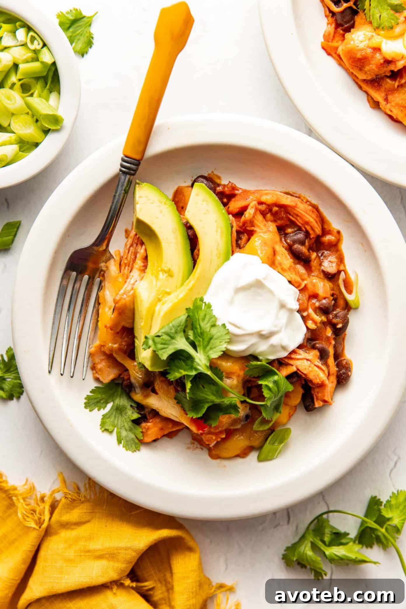 Final plated Chicken Enchilada Skillet