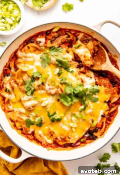 Chicken Enchilada Skillet