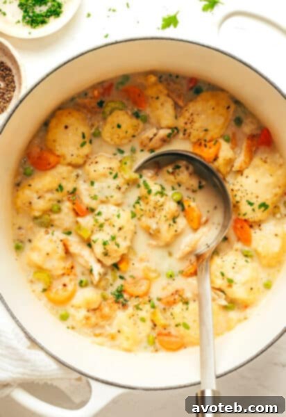 Chicken and dumplings in a pot with a scoop, ready to serve