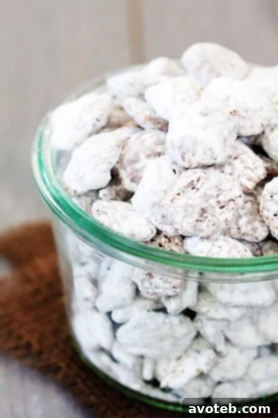 Close-up of Biscoff Puppy Chow showing the powdered sugar coating and cereal texture.