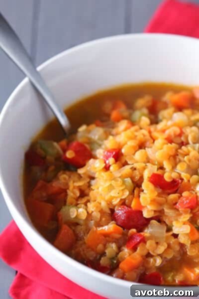 A close-up shot of a bowl of red lentil soup, showing its rich texture and vibrant color, ready to be enjoyed.