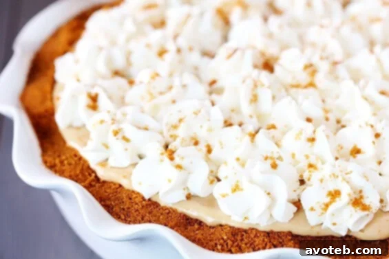 Biscoff Pie Delicious Biscoff Pie with a creamy filling and cookie crust, topped with whipped cream and crumbled Biscoff cookies.