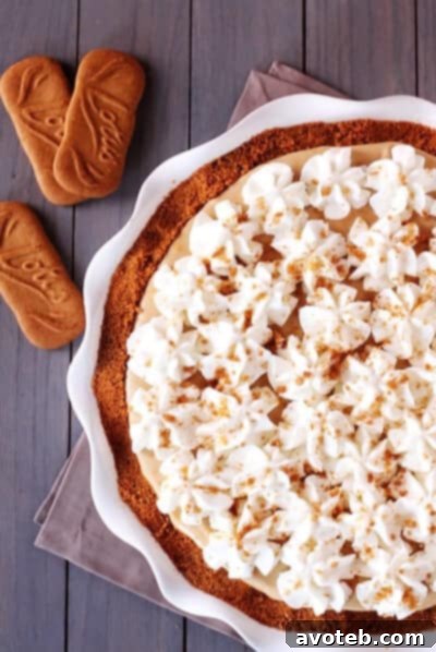Biscoff Pie Dish Biscoff Pie in a pie dish, garnished with whipped cream and cookie crumbs, ready to be served.