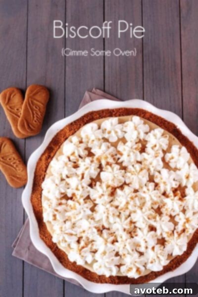 Biscoff Pie Overhead Overhead shot of a Biscoff Pie with a dollop of whipped cream and crumbled cookies in the center.