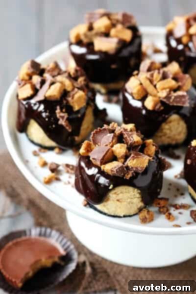 Close-up of a Reese's Peanut Butter Chocolate Mini Cheesecake, showing the creamy filling and ganache