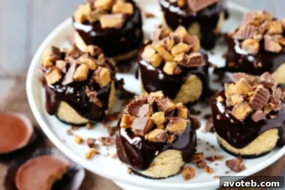 Reese's Peanut Butter Chocolate Mini Cheesecakes with rich ganache and crumbled toppings