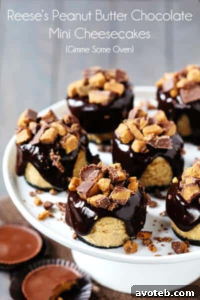 A tray of freshly made Reese's Peanut Butter Chocolate Mini Cheesecakes ready to be served