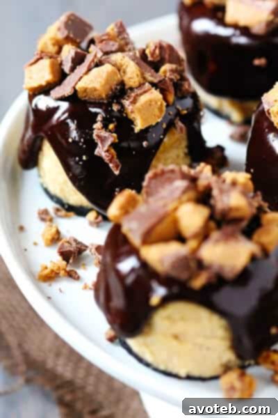 Beautifully presented Reese's Peanut Butter Chocolate Mini Cheesecakes on a serving plate