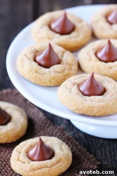 Close-up of freshly baked Biscoff Blossoms with melted Hershey's Kisses
