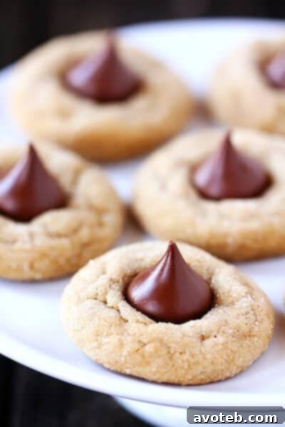 Stacked Biscoff Blossoms with a soft-focus background