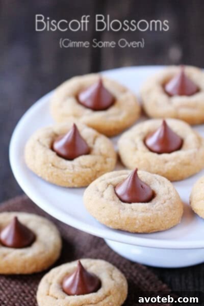 A close-up of a single Biscoff Blossom cookie, showcasing its texture and the Hershey's Kiss