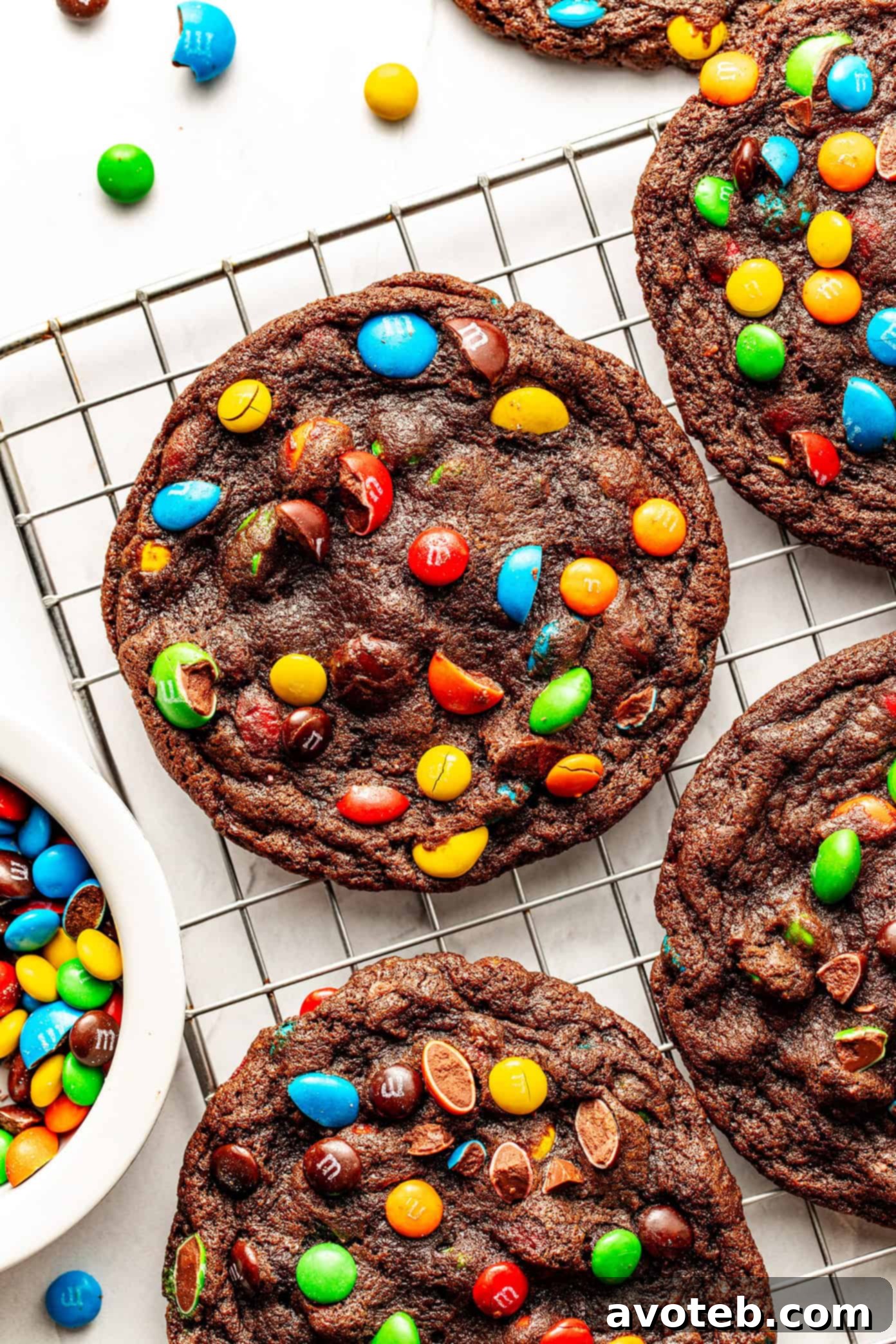 Chocolate M and M Cookies
Sweet Surprise Chocolate M&M Cookies 6 Chewy Chocolate M&M Cookies