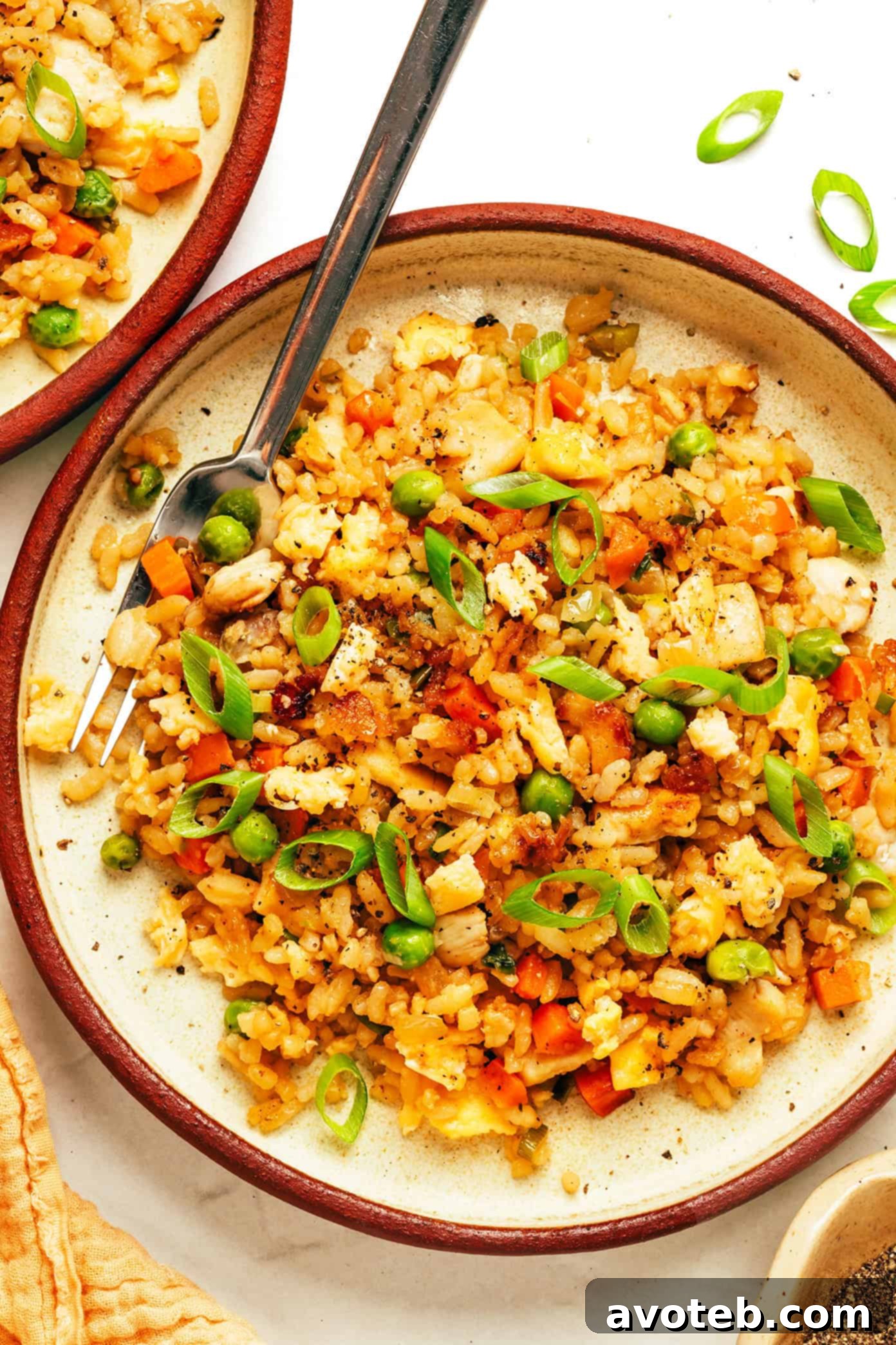 Close-up of Chicken Fried Rice