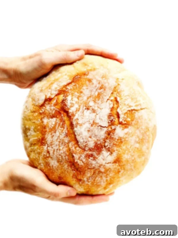 Homemade No Knead Bread Recipe