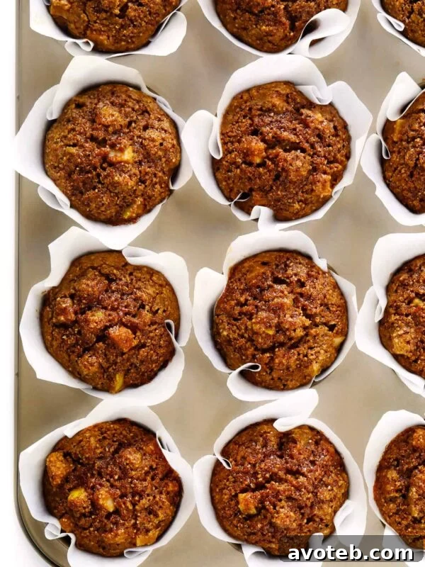 Moist Zucchini Oat Muffins Recipe 11 Healthy Apple Muffins Recipe