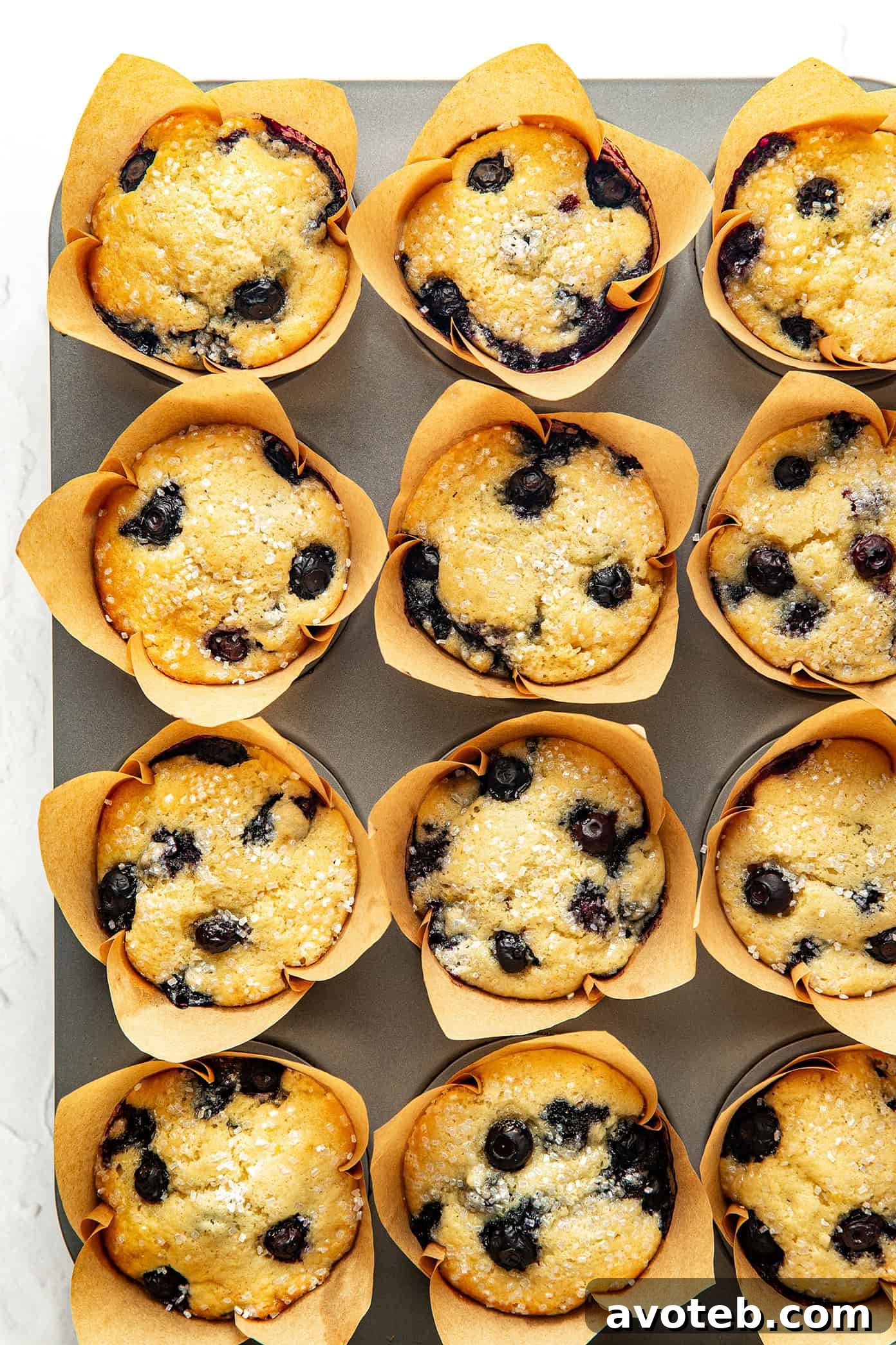 Fluffy Homemade Blueberry Muffins with Lemon Zest 2 img 104297 1