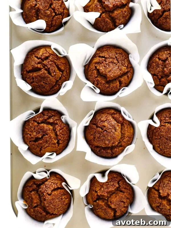 Fluffy Homemade Blueberry Muffins with Lemon Zest 9 Healthy Pumpkin Muffins Recipe (Gluten-Free)